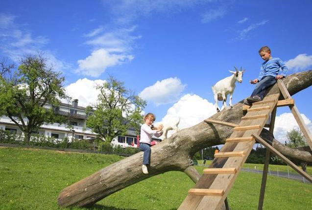 Landhotel Haagerhof Aigen im Muehlkreis Ngoại thất bức ảnh